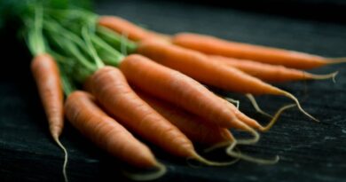 Vitamine A carottes